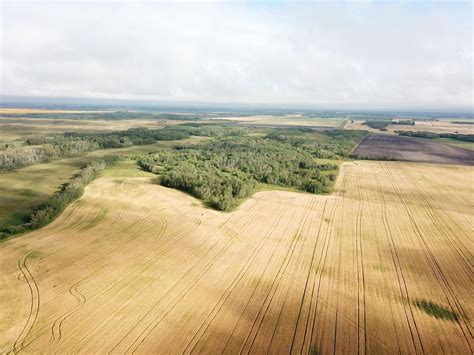 Newfolden, Marshall County, MN Recreational Property, Timberland Property, Hunting Property for ...