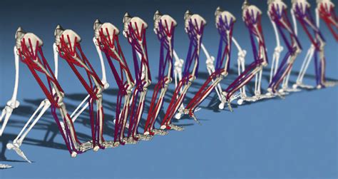 Image result for Raspberry Pi OpenSim