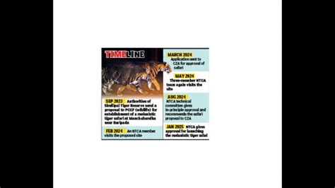 Odisha's melanistic tiger safari inches closer to reality after Supreme ...