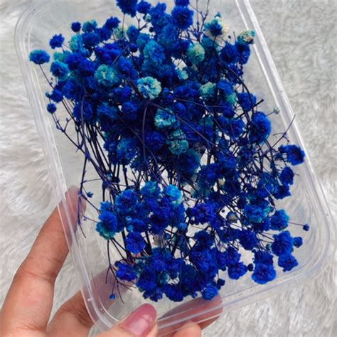 Baby birth – Resin24