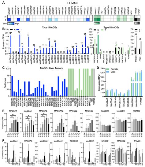 Cross-Species Upregulation of MAGED2 in Liver Cancer Suggests a Role in ...
