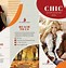 Image result for Clothes Brochure Templates