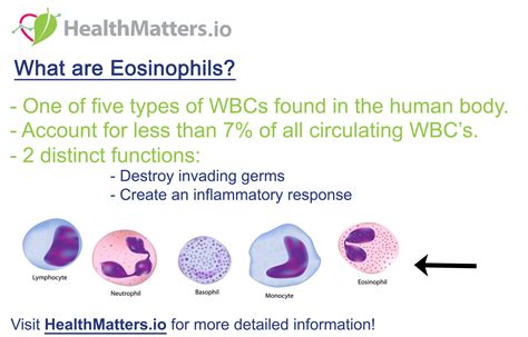 What Is Eosinophils Abs Auto at Jennifer Vidal blog