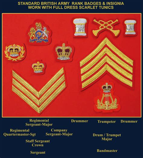 Army Ranks And Symbols at Betty Fitzpatrick blog