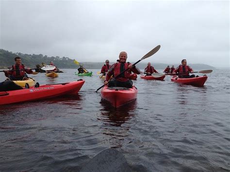 ARVOR SEA KAYAKING (Falmouth) - What to Know Before You Go