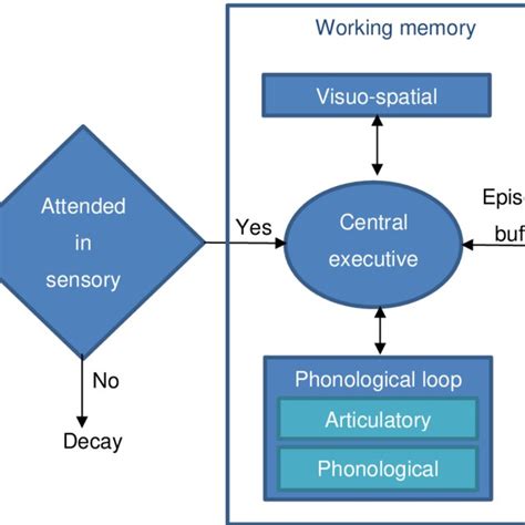 Image result for Working Memory Model