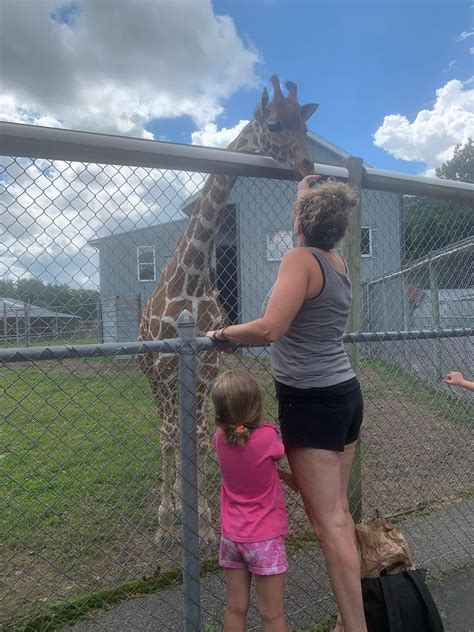 Photos - Adirondack Animal Land