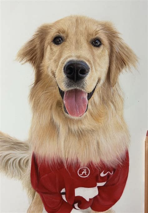Cool Drawings of Dogs 的图像结果
