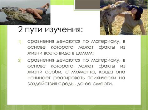 Введение в зоопсихологию и сравнительную психологию. Лекция 1 ...