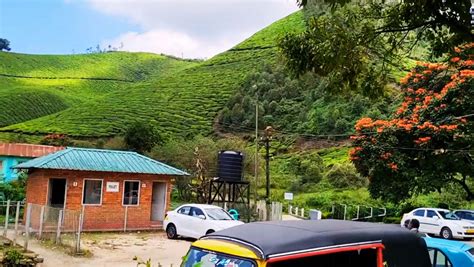 Tata Tea Museum (Munnar): History, Timings & Ticket Price!