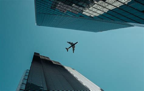 Framing Photography Examples