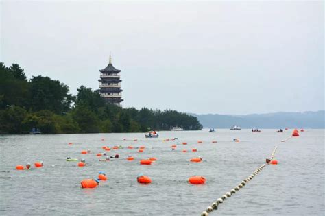 “迎亚运”2023千岛湖公开水域游泳公开赛顺利举行凤凰网河南_凤凰网