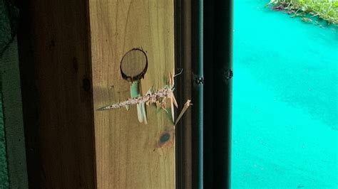 Training vom 16./17. September im Selgis – VEREIN SCHWEIZER ...