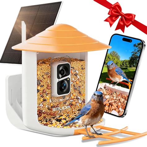 Amazon.com : SOLIOM BF09 Bird Feeder with Camera Wireless Outdoor,Smart ...