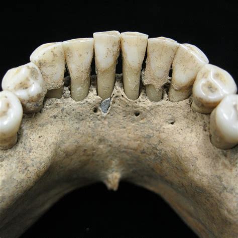 Lapis Lazuli Color Crossword