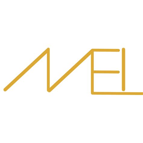 Michigan Ear Institute | Otology, Neurotology Skull Base Surgeons ...