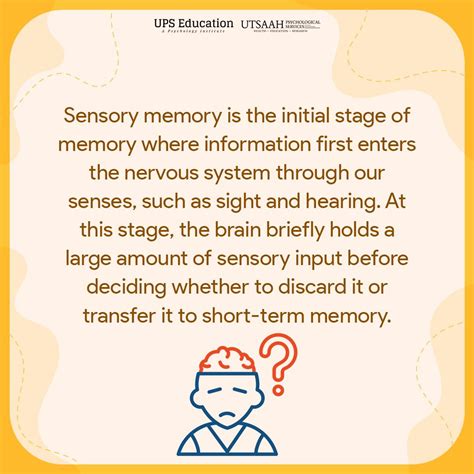 Sensory Memory Examples Psychology
