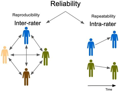 Inter-Rater Reliability 的图像结果