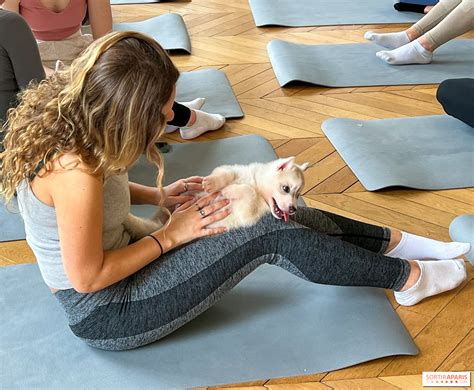 Puppy Yoga Paris, des séances de yoga tout en câlins avec d'adorables ...