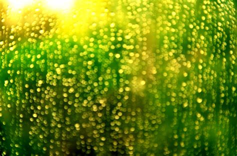 FREE Bokeh texture rain 1 by FrancescaDelfino on DeviantArt