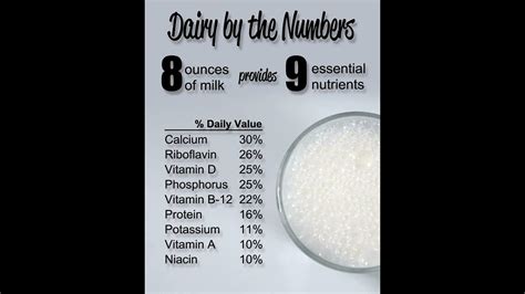 More Udder Interesting Facts From Florida's Dairies Video - YouTube