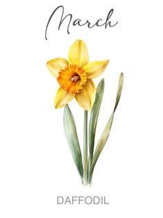 Image result for Wedding Card Tutorials