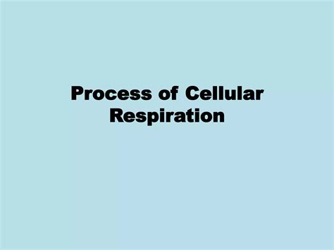 Cellular Respiration - AP Biology | PPTX