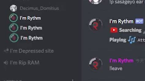 Image result for How to Use Rhythm Bot