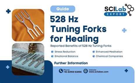Tuning Forks and Healing | Frequency Therapy Tools