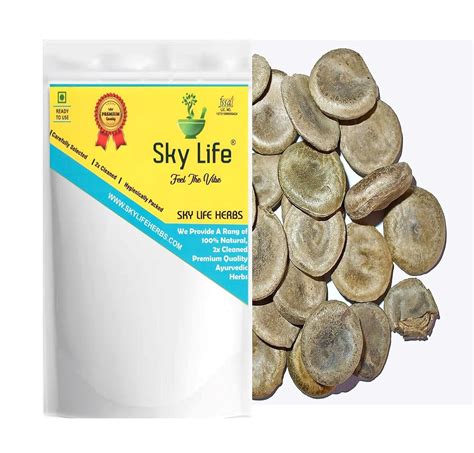 Sky Life® Kuchla Seed - 200Grm - Nux Mica Seed - Struchnos Nuxvomica ...