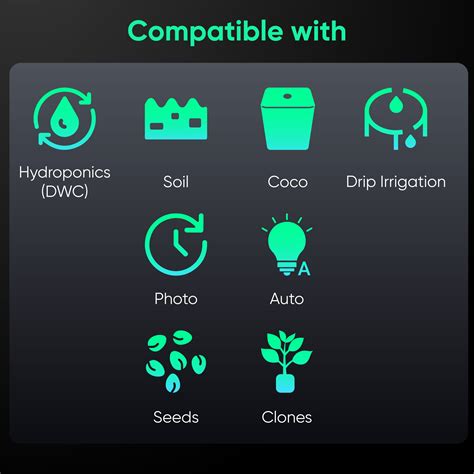 All About Weed Measurements: Weight Chart, Price and More – Hey abby