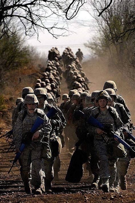 Military Basic 的图像结果