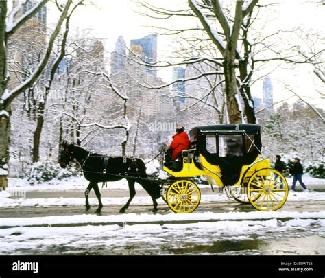 Carriage at Central Park, New York, USA Stock Photo - Alamy
