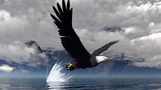 iphone black eagle wallpaper hd eagles hd wallpapers iphone black eagle wallpaper hd eagles hd wallpapers
