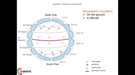 Tradewinds Examples 的图像结果