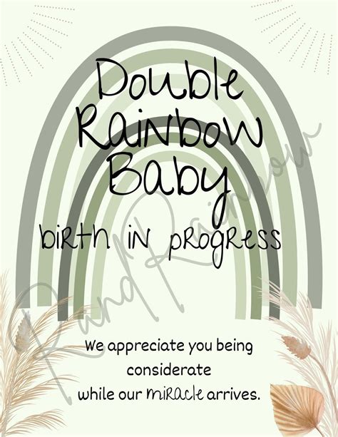 Double Rainbow Baby Birth in Progress Sign for Hospital Room - Etsy