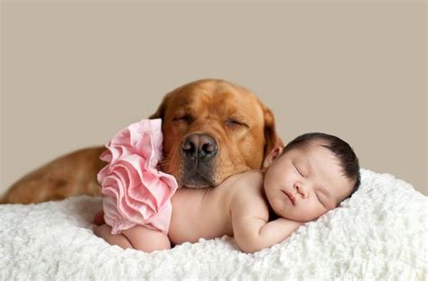 属狗的宝宝几月出生好 2021年4月3日出生的宝宝-周易算命网