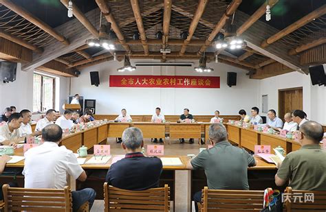 全市人大农业农村工作座谈会在庆元召开