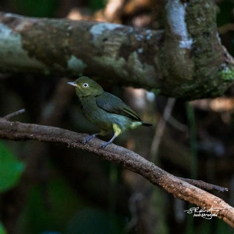 Costa Rica 2023 — Steve Coffin Photos