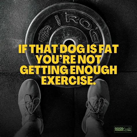 30 Funny Fitness Quotes to Help You Crush Those New Year’s Resolutions ...