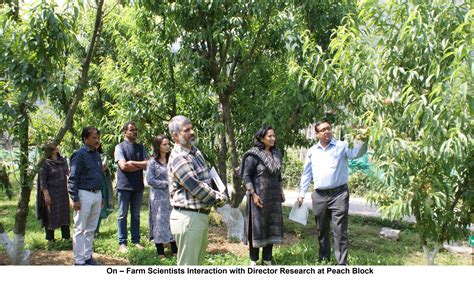 Dr YS Parmar University of Horticulture & Forestry