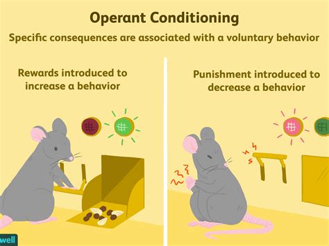 Image result for Classical Conditioning Explained