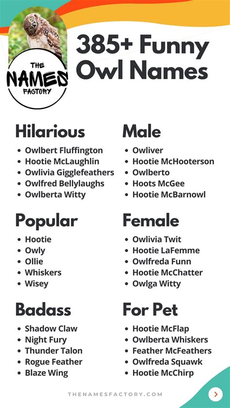 Funny Names For Owls