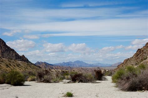 DT20 day 7 – Sheephole Valley – Walking to the light
