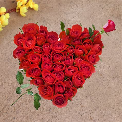 Shakespeare In Love– Bloomsy