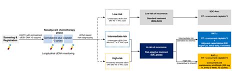 Image result for 31 mm Convertido Para Polegadas