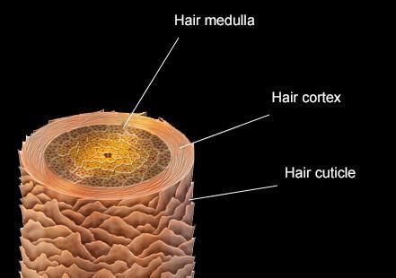 Image result for It Theme