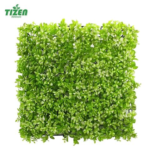 Company Overview - Shantou Tizen Homeware Co., Ltd.