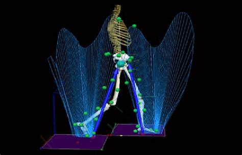 Image result for Visualisation Normal Walk