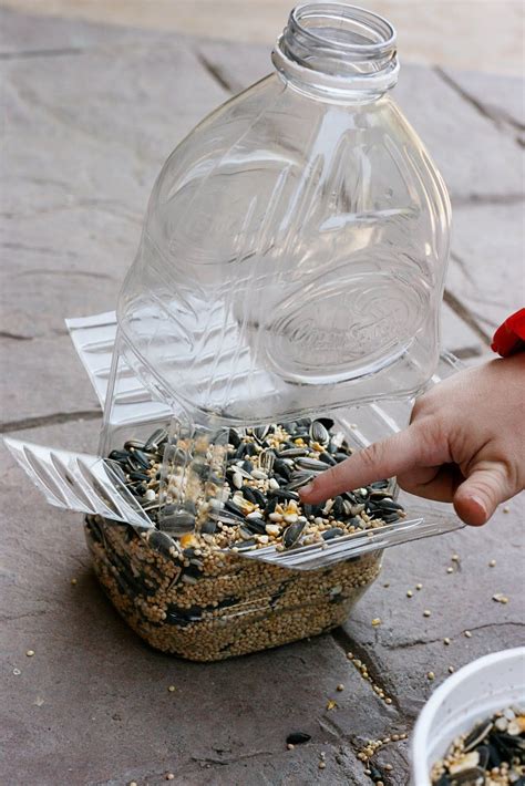 diy bird feeder